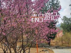 -香山公园