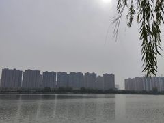 -渭滨公园