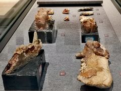-昆明市博物馆(昆明市文物保护和考古研究中心)