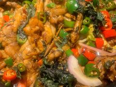 -蛙小侠(亚欧商厦店)