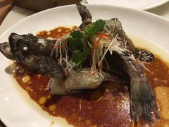 -青城山六善酒店·紫氣園中餐厅