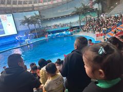 -海合安成都极地海洋公园