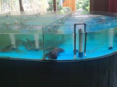 -耕渔小院·湖南鱼鲜(望城店)