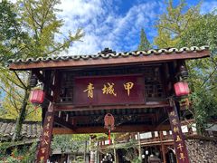 -青城甲(青城山店)