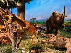 -国家自然博物馆