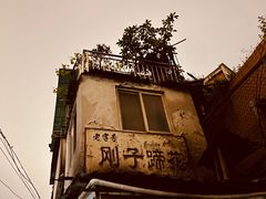 -刚子蹄花(总店)