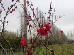 -前小桔亲子创意农场·草莓采摘·露营烧烤