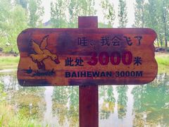 -白河湾生态旅游一条川