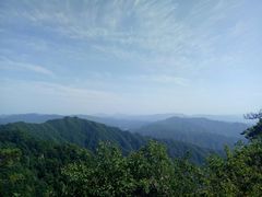 -王顺山国家森林公园