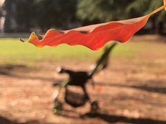 -上海市龙华烈士陵园