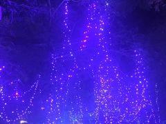 -哈尔滨文化公园