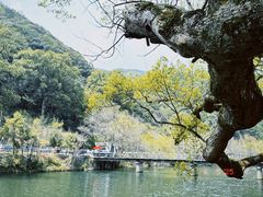 -上坦村