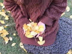 -重庆市江北嘴中央商务区中央公园