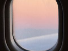 -香妃烤鸡(西单店)