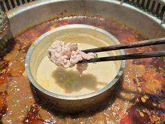 -鱼豆吉·豆浆鱼火锅(宜昌万达店)