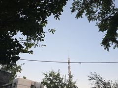 -天津图书馆(复康路馆)
