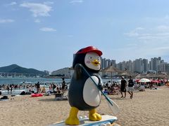 -海云台海滩