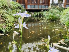 -大妙火锅·非物质文化遗产(东湖公园店)