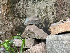 -东天目山风景区