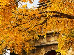 -北京石刻艺术博物馆(五塔寺)