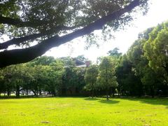 android_upload_pic-中山大学学者灵芝(园南路店)
