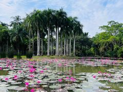 -中国科学院西双版纳热带植物园
