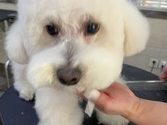 -暖阳宠物医院·犬猫康复中心·骨科