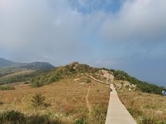 -白草畔自然风景区