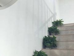 -风格style 专业烫染