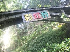-青青世界