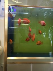 -蕾特恩祛痘•皮肤管理