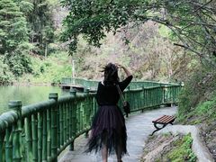 -修水东浒寨风景区