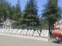 -日照海滨国家森林公园