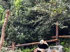 -红山森林动物园