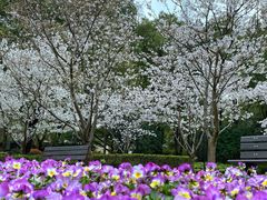 -徐家汇源景区-衡山公园