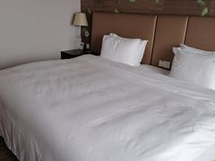 -西安绿地假日酒店