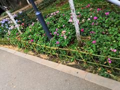 -昆明动物园