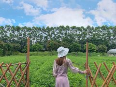 -迪茵湖田家舍生态农场