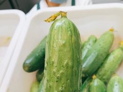 -陈家老院子·长春特色东北家宴(一匡街店)