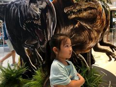 -TOYSRUS玩具反斗城(上海万象城店)