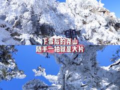 -尧山风景区