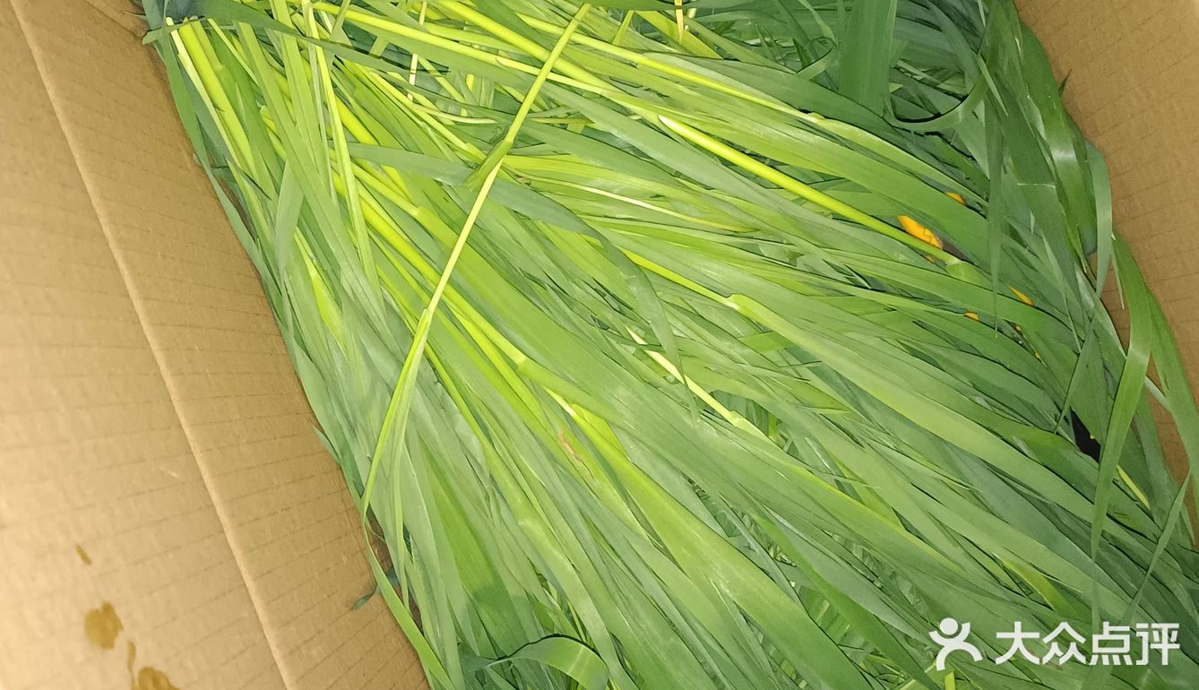 自制纯天然青团子