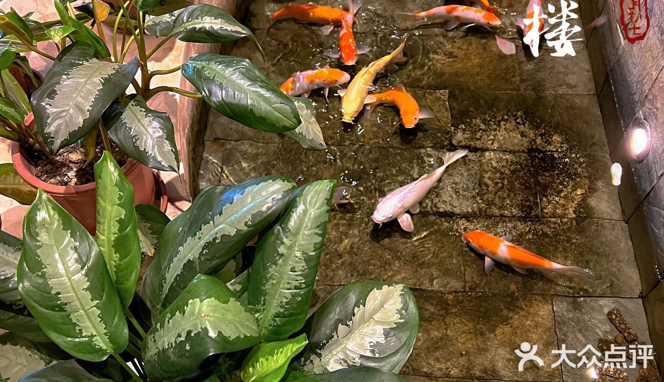 佛山新派粤菜佼佼者｜岁丰酒楼