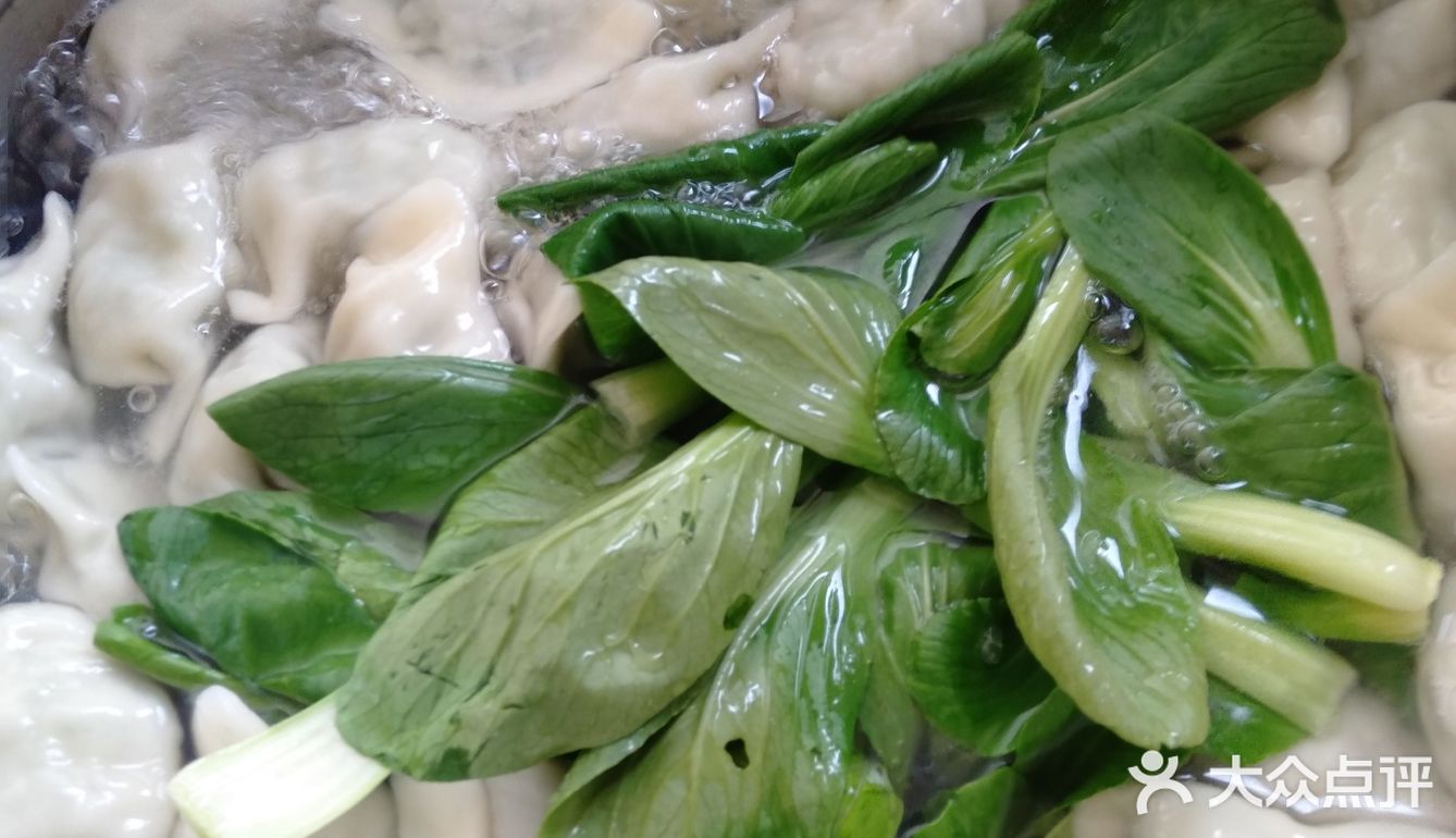 夏季让人胃口大开的茴香肉馅饺子