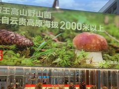 -菌自在·云南野生菌火锅(长安万达店)