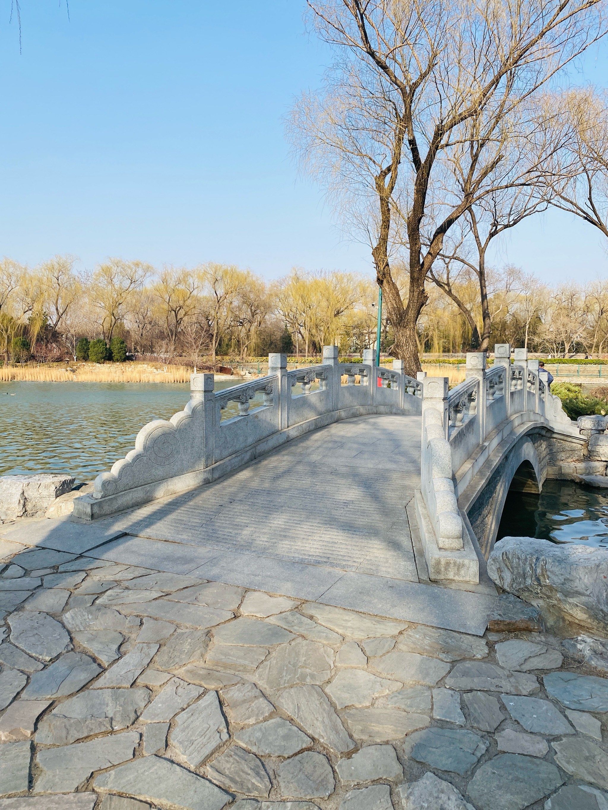 从踏进玉渊潭公园的一刻,我感受到春天来了!