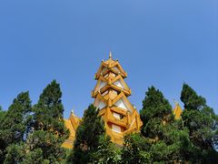 -云南勐巴娜西珍奇园
