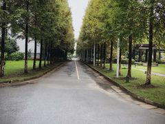 -杭州师范大学(下沙校区)