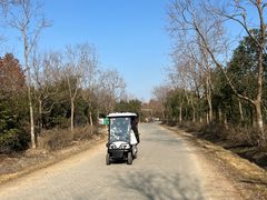 -上海海湾国家森林公园