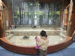 -芜湖新华联大白鲸海洋公园